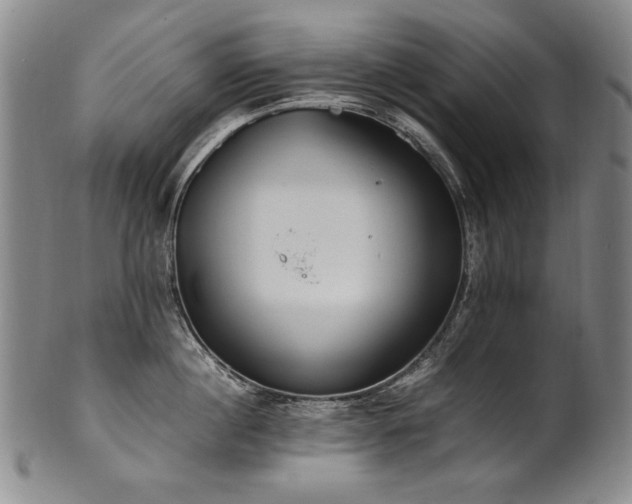 X0000102470860200808081249