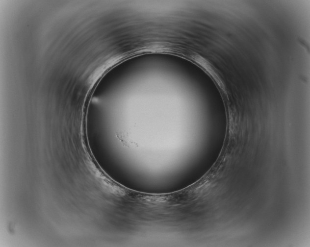 X0000102470861200808081249