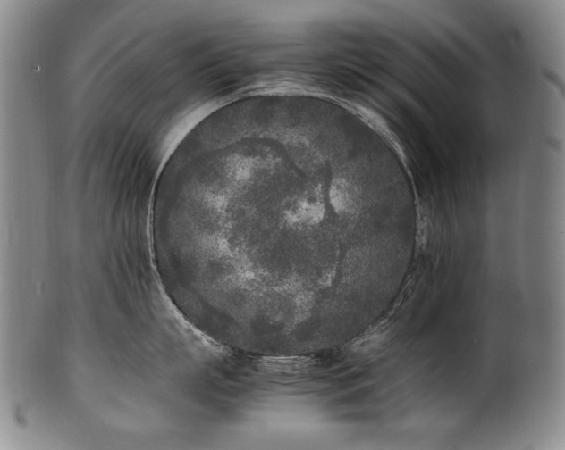X0000102470863200808081249