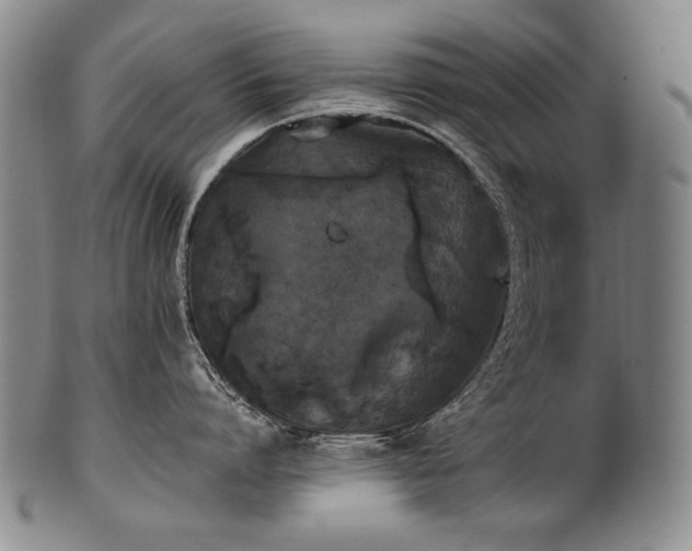 X0000102470864200808081249