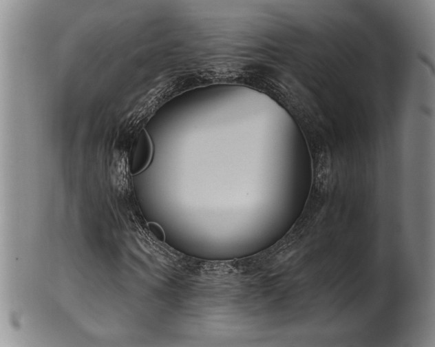 X0000102470866200808081248