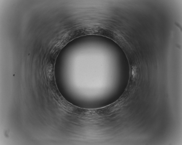 X0000102470867200808081248
