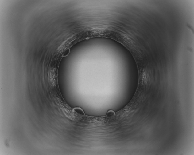 X0000102470868200808081248