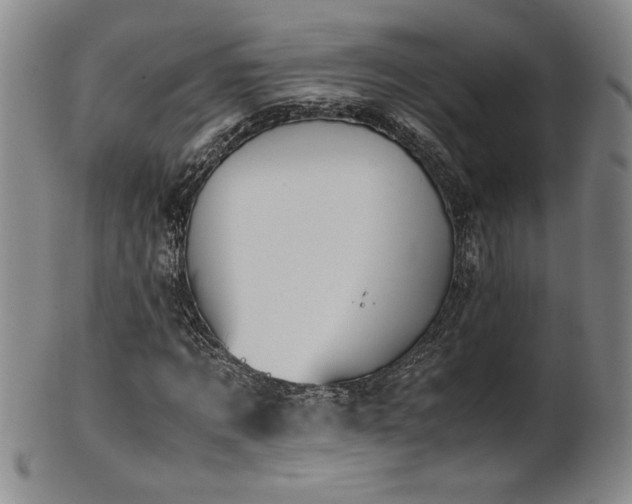 X0000102470869200808081248