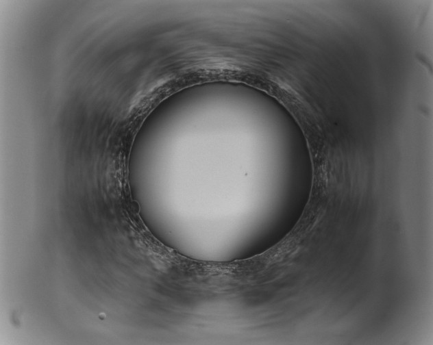 X0000102470870200808081248