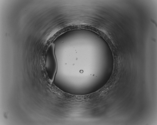 X0000102470871200808081248