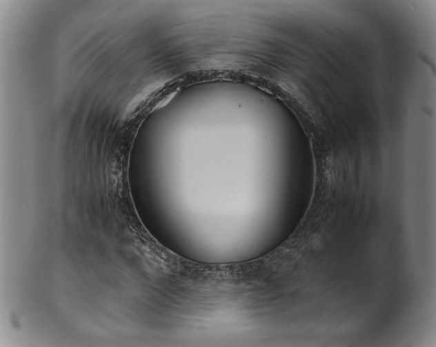 X0000102470872200808081248