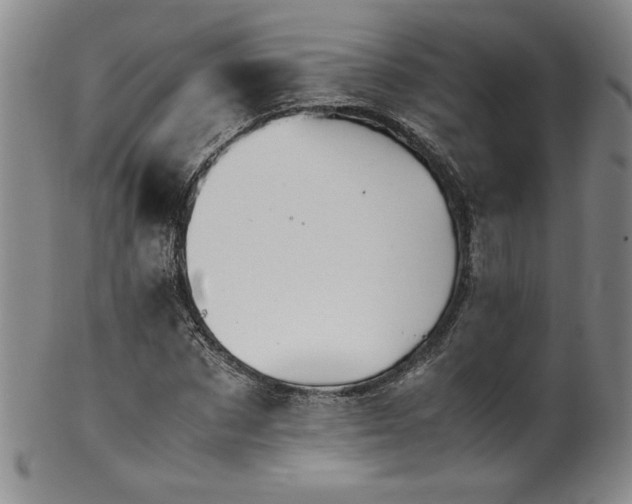 X0000102470873200808081248