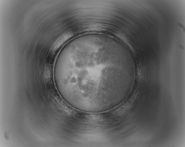 X0000102470874200808081248