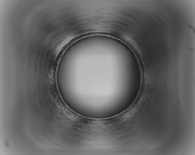 X0000102470875200808081248