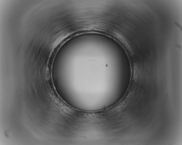 X0000102470876200808081248