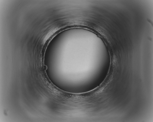 X0000102470877200808081248