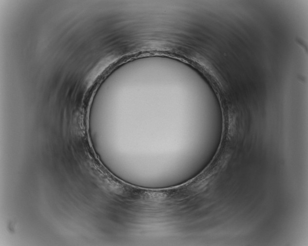 X0000102470878200808081248