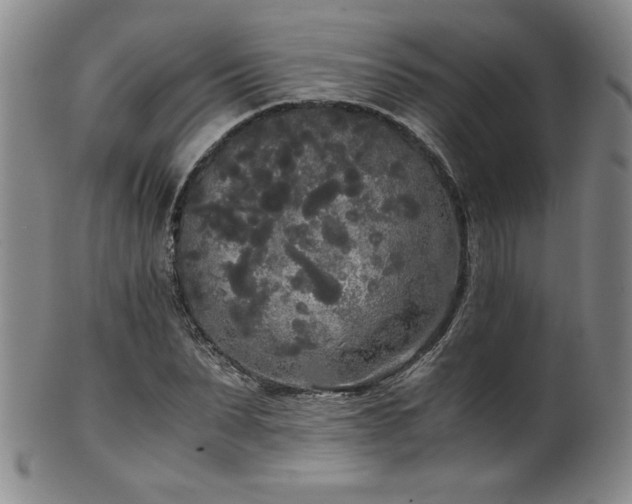 X0000102470879200808081248