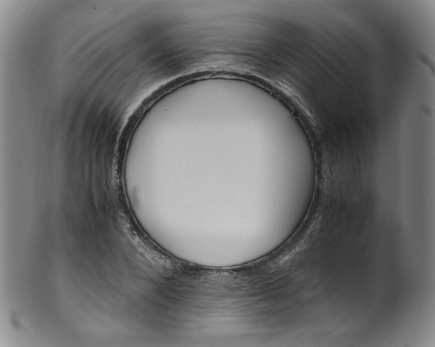 X0000102470880200808081248
