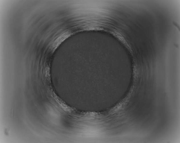 X0000102470881200808081248