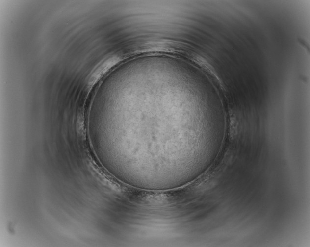 X0000102470882200808081248