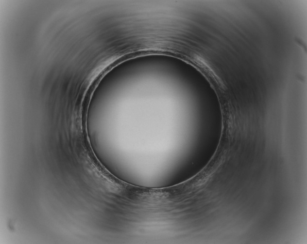 X0000102470884200808081248