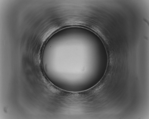 X0000102470885200808081248