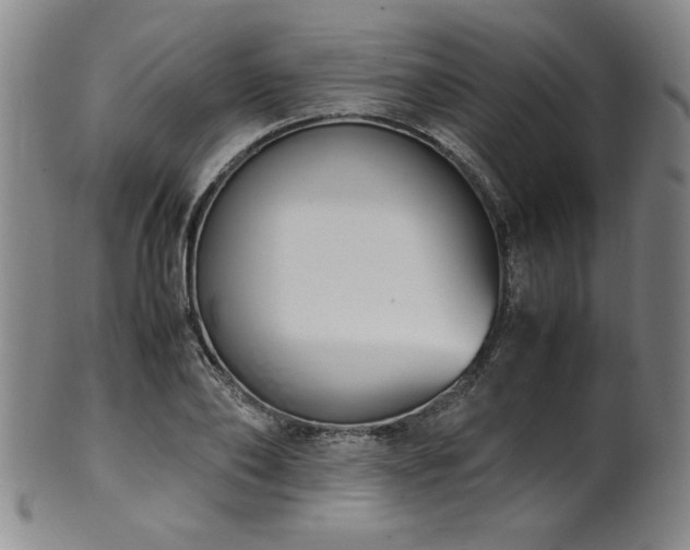 X0000102470886200808081248