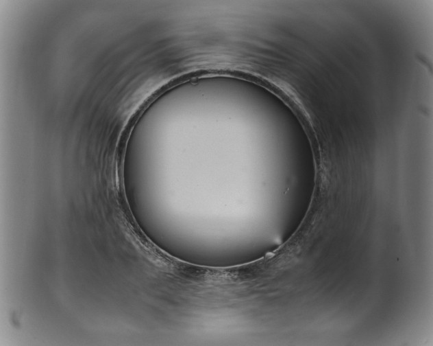 X0000102470887200808081248