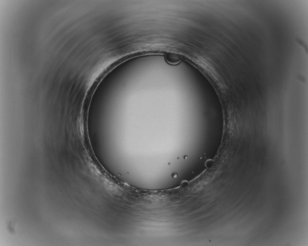 X0000102470888200808081248