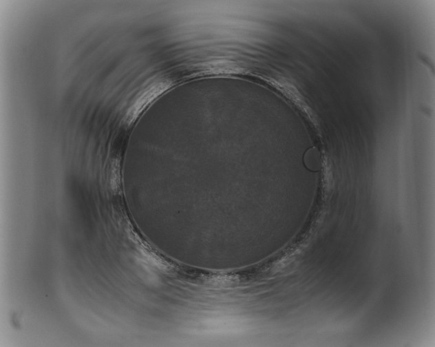 X0000102470889200808081248