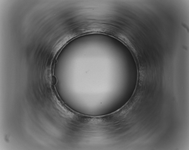 X0000102470890200808081248