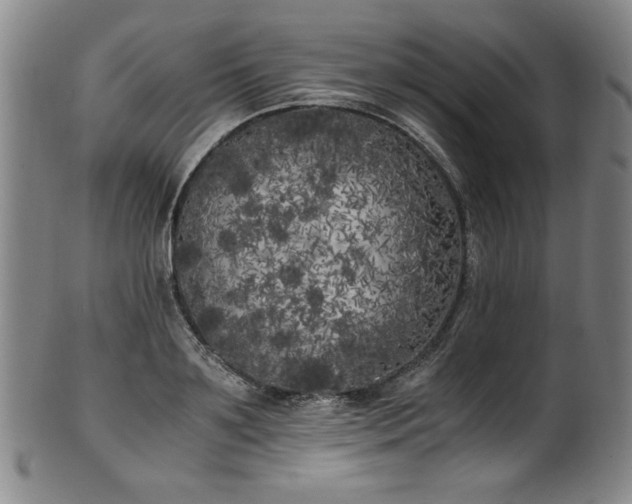 X0000102470891200808081248