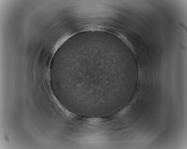 X0000102470893200808081248