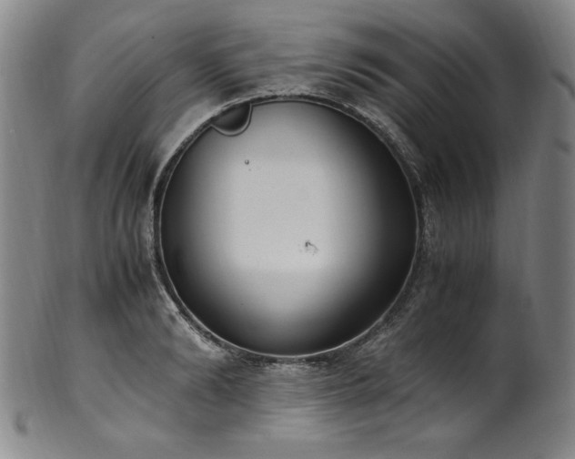 X0000102470894200808081248