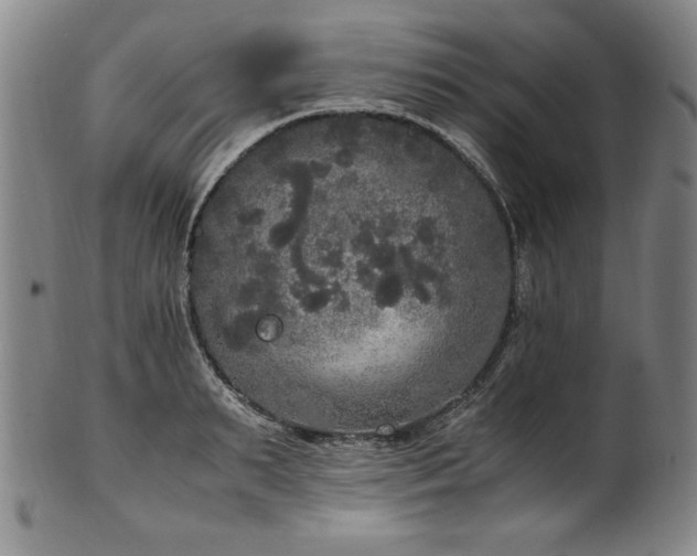 X0000102470895200808081248