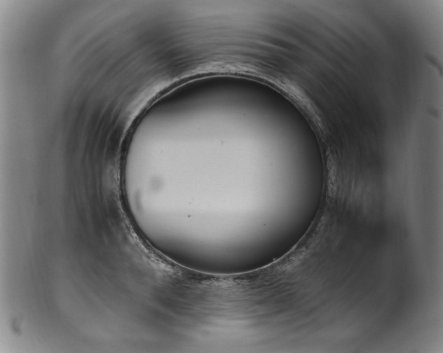 X0000102470896200808081247