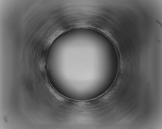 X0000102470897200808081247