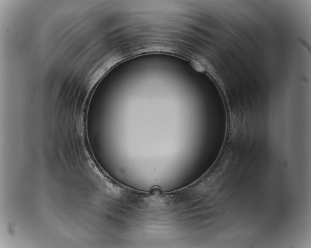 X0000102470898200808081247