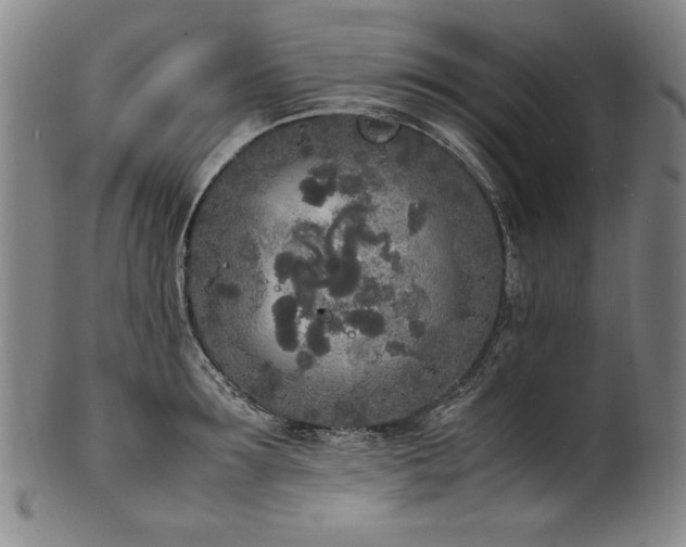 X0000102470899200808081247