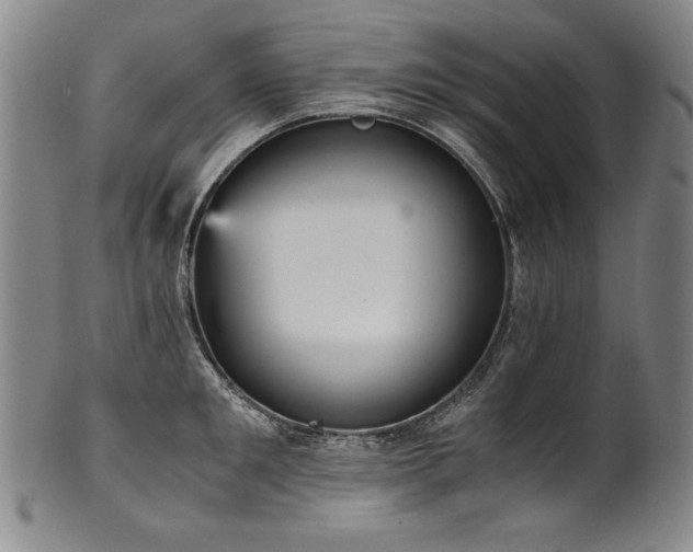 X0000102470901200808081247