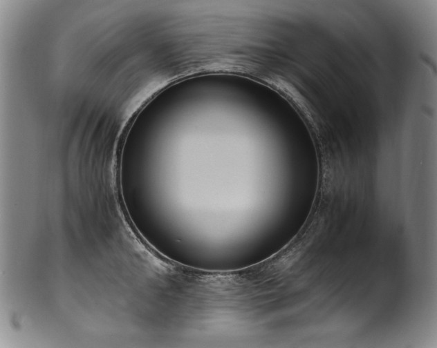 X0000102470902200808081247