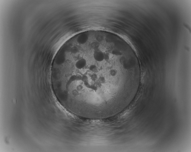 X0000102470903200808081247