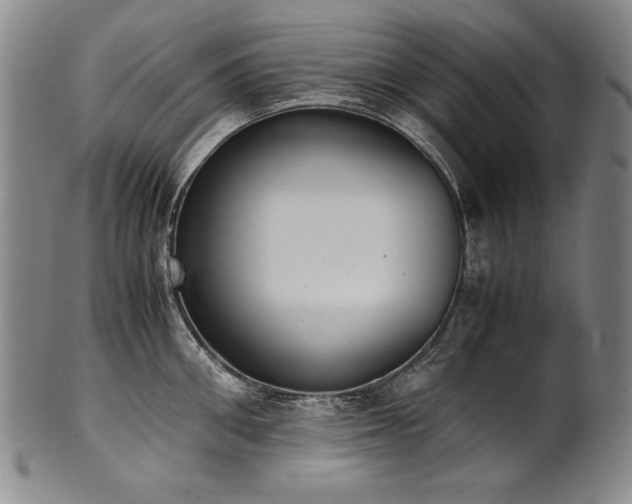 X0000102470906200808081247