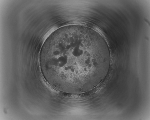 X0000102470907200808081247
