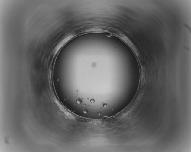 X0000102470909200808081247