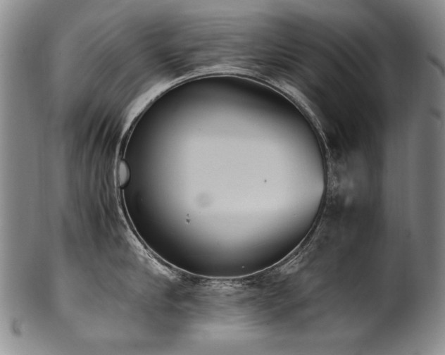 X0000102470910200808081247