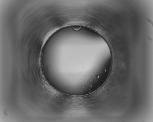 X0000102470912200808081247
