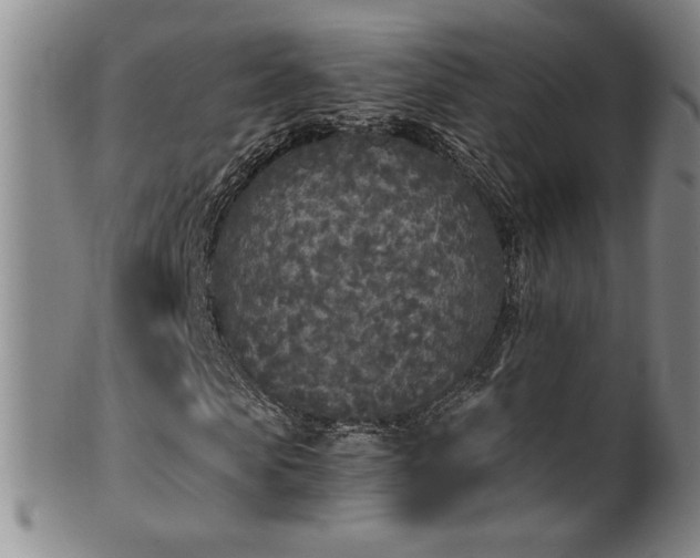X0000102470913200808081247