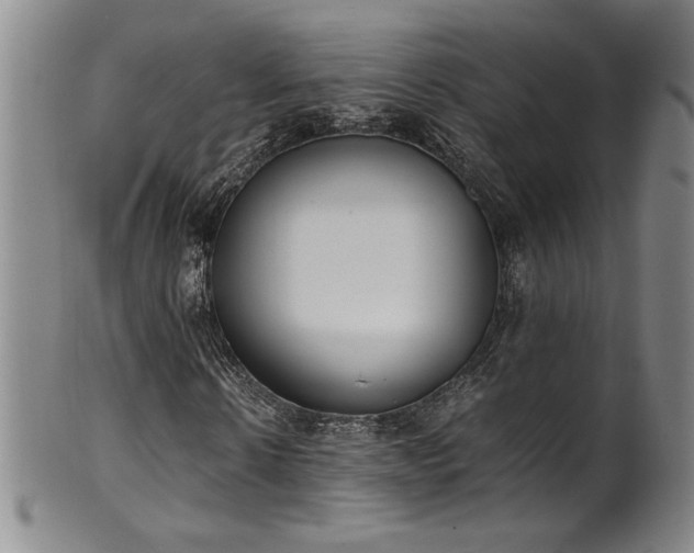 X0000102470914200808081247
