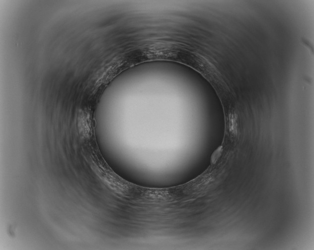 X0000102470915200808081247