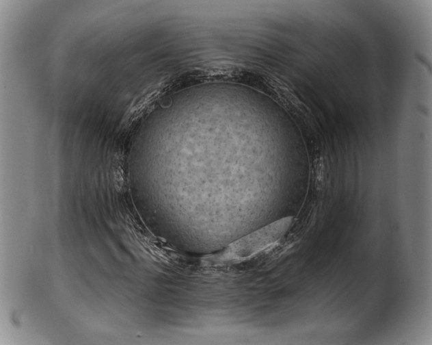 X0000102470916200808081247