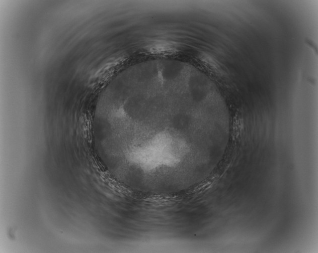 X0000102470917200808081247