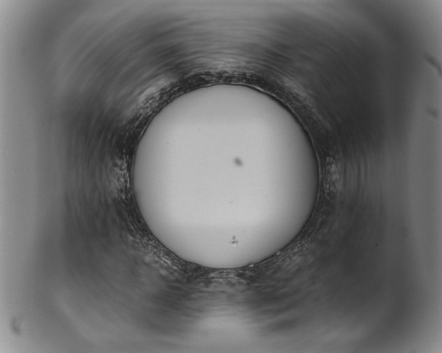 X0000102470918200808081247